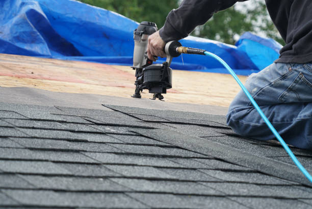 Best Chimney Flashing Repair  in Cleona, PA